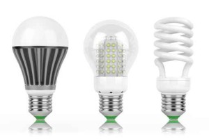 Which light bulb should I use?