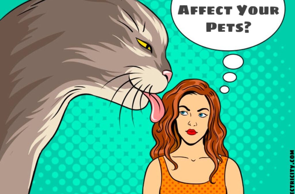 Can EMFs Affect Your Pets?
