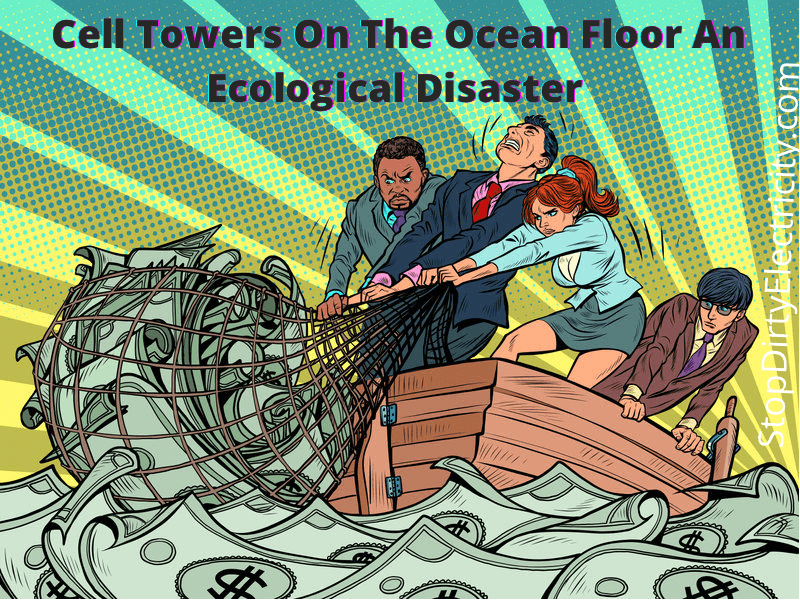 Cell Towers On The Ocean Floor- An Ecological Disaster
